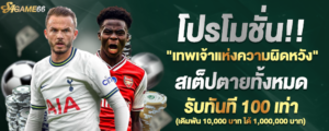 sagame66 ระบบฝากถอนทรูวอลเล็ต ออโต้ สะดวก รวดเร็ว ไม่มีขั้นต่ำ 2026